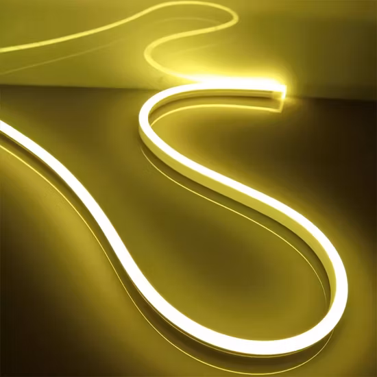 IP65 LED Rope Flexible Neon Strip Lighting LED Neon Flex Tube Light for Facade Decoration with 3 Years Warranty