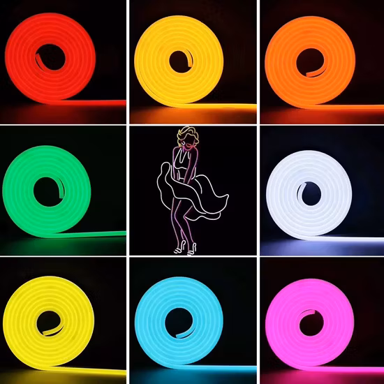 IP65 LED Rope Flexible Neon Strip Lighting LED Neon Flex Tube Light for Facade Decoration with 3 Years Warranty
