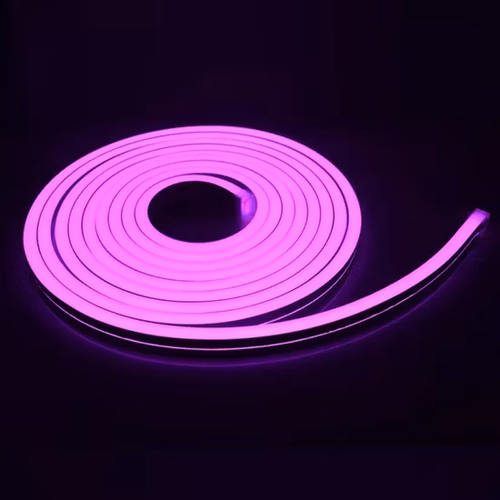 IP65 LED corde flexible néon bande éclairage LED néon Flex Tube lumière pour la décoration de façade avec 3 ans de garantie